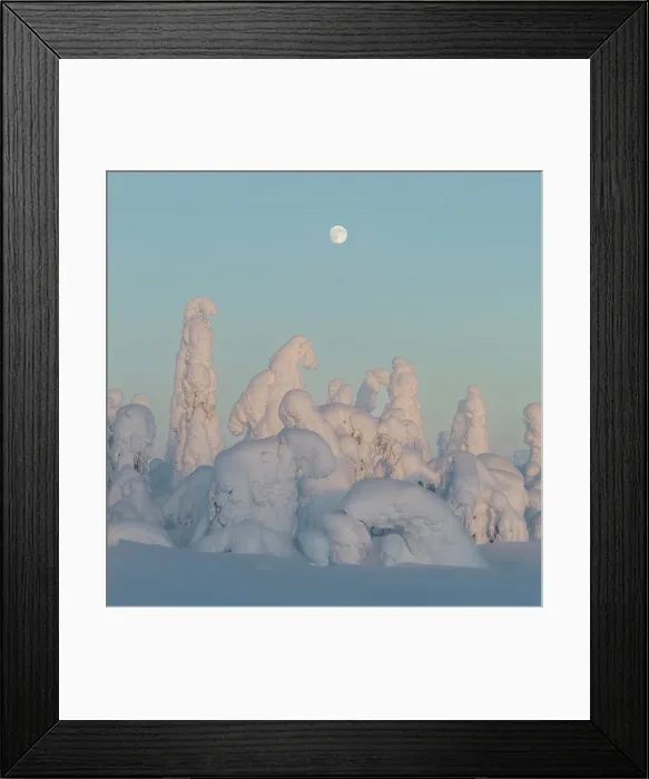 Framed Print : Full moon rising over snow covered winter landscape at twilight, tykky, Kuntivaara Fell, Finland, Europe Framed Print : Full moon rising over snow covered winter landscape at twilight, tykky, Kuntivaara Fell, Finland, Europe