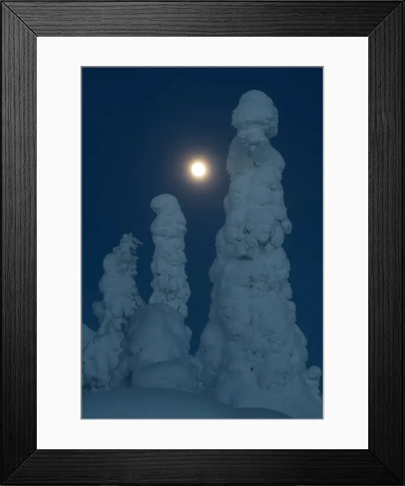 Framed Print : Full moon rising over snow covered winter landscape at twilight, tykky, Kuntivaara Fell, Finland, Europe Framed Print : Full moon rising over snow covered winter landscape at twilight, tykky, Kuntivaara Fell, Finland, Europe
