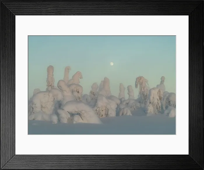 Framed Print : Full moon rising over snow covered winter landscape at twilight, tykky, Kuntivaara Fell, Finland, Europe Framed Print : Full moon rising over snow covered winter landscape at twilight, tykky, Kuntivaara Fell, Finland, Europe
