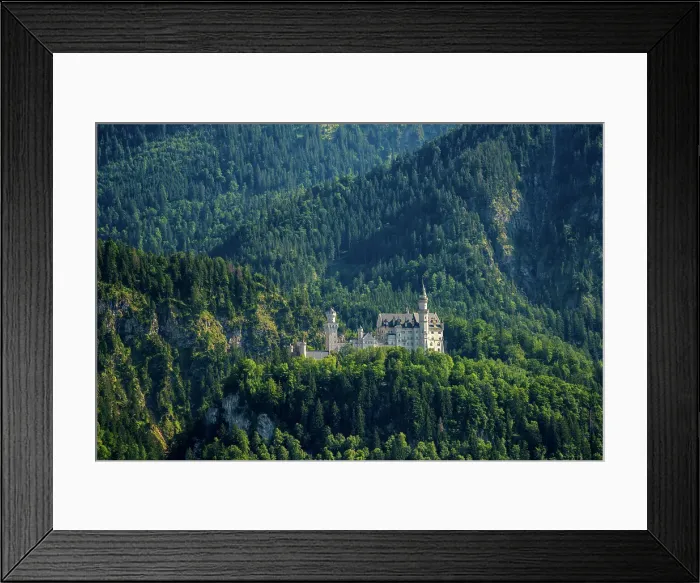 Framed Print : Neuschwanstein historic fairytale castle on the mountain with trees all around, Schwangau, Bavaria, Germany, Europe Framed Print : Neuschwanstein historic fairytale castle on the mountain with trees all around, Schwangau, Bavaria, Germany, Europe