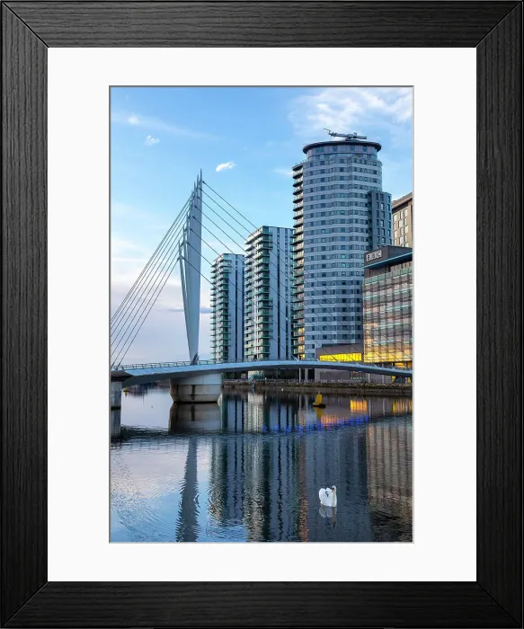 Framed Print : Media City UK, footbridge, swan in foreground, Salford Quays, Greater Manchester, England, United Kingdom, Europe Framed Print : Media City UK, footbridge, swan in foreground, Salford Quays, Greater Manchester, England, United Kingdom, Europe