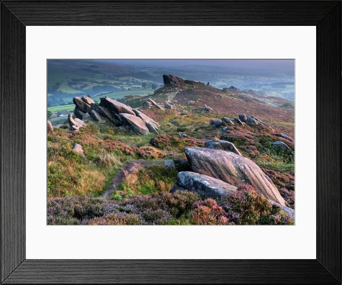 Framed Print : Ramshaw Rocks and purple heather moorland in summer, near Leek, Peak District National Park, Staffordshire Moorlands, Staffordshire, England, United Kingdom, Europe Framed Print : Ramshaw Rocks and purple heather moorland in summer, near Leek, Peak District National Park, Staffordshire Moorlands, Staffordshire, England, United Kingdom, Europe