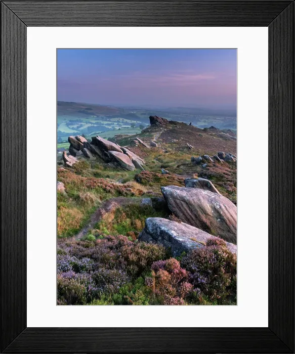 Framed Print : Ramshaw Rocks and purple heather in summer, near Leek, Peak District National Park, Staffordshire Moorlands, Staffordshire, England, United Kingdom, Europe Framed Print : Ramshaw Rocks and purple heather in summer, near Leek, Peak District National Park, Staffordshire Moorlands, Staffordshire, England, United Kingdom, Europe