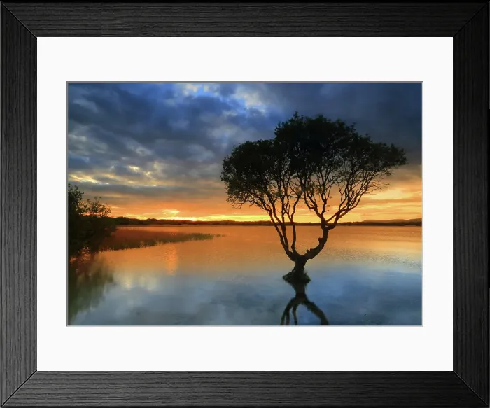 Framed Print : Lone tree at sunset, Kenfig Pool, Kenfig Nature Reserve, South Wales, United Kingdom, Europe Framed Print : Lone tree at sunset, Kenfig Pool, Kenfig Nature Reserve, South Wales, United Kingdom, Europe