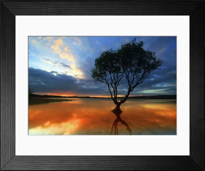 Framed Print : Lone tree at sunset, Kenfig Pool, Kenfig Nature Reserve, South Wales, United Kingdom, Europe Framed Print : Lone tree at sunset, Kenfig Pool, Kenfig Nature Reserve, South Wales, United Kingdom, Europe