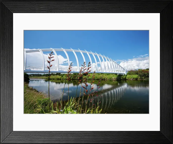 Framed Print : Unique architecture of Te Rewa Rewa Bridge in New Plymouth, North Island, New Zealand, Pacific Framed Print : Unique architecture of Te Rewa Rewa Bridge in New Plymouth, North Island, New Zealand, Pacific