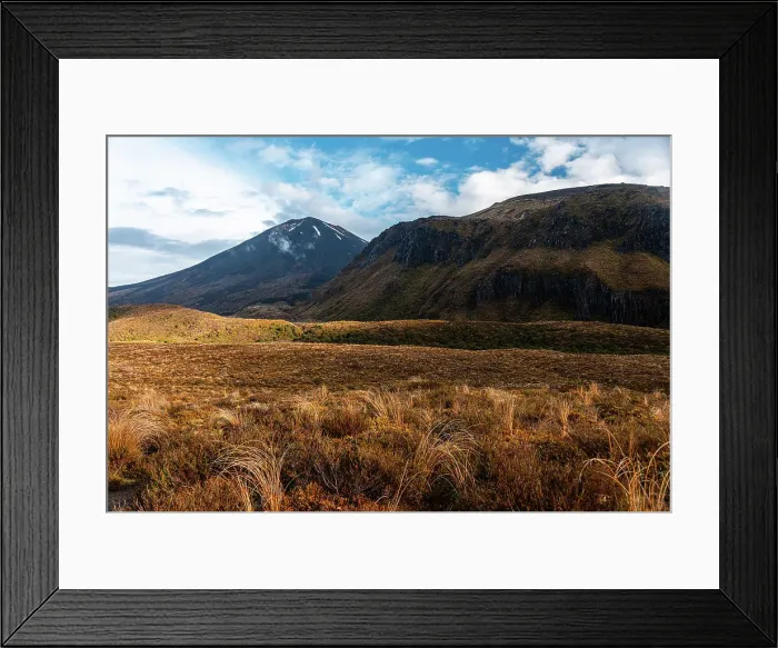Framed Print : Colorful scrub fields in front of Ngauruhoe Volcano and Pukekaikiore in Tongariro National Park, UNESCO World Heritage Site, North Island, New Zealand, Pacific Framed Print : Colorful scrub fields in front of Ngauruhoe Volcano and Pukekaikiore in Tongariro National Park, UNESCO World Heritage Site, North Island, New Zealand, Pacific