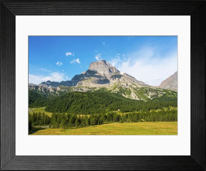 Framed Print : Lush green pine forests and meadows in front of the towering Monte Leone, rugged mountain, Italian Alps, Italy, Europe Framed Print : Lush green pine forests and meadows in front of the towering Monte Leone, rugged mountain, Italian Alps, Italy, Europe