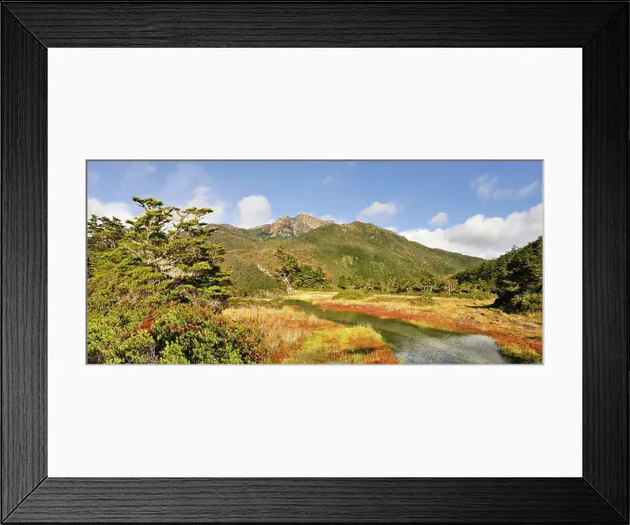 Framed Print : Gaultheria mucronata shrub in foreground, Ainsworth Bay, Alberto de Agostini National Park, Tierra del Fuego, Patagonia, Chile, South America Framed Print : Gaultheria mucronata shrub in foreground, Ainsworth Bay, Alberto de Agostini National Park, Tierra del Fuego, Patagonia, Chile, South America