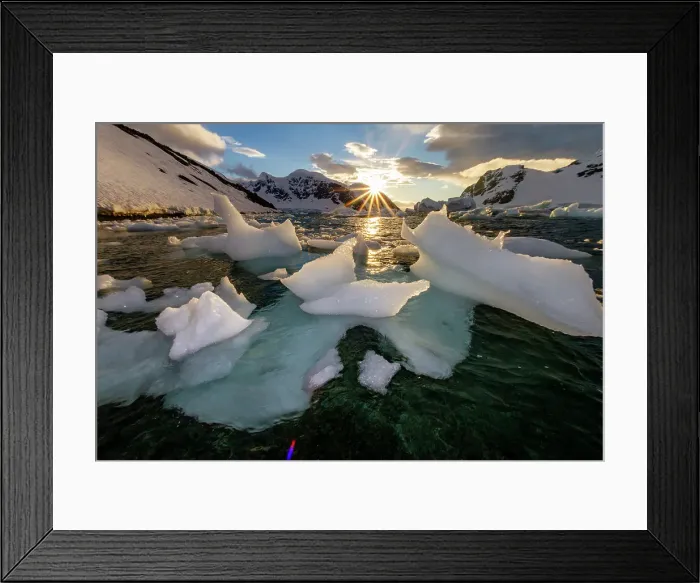 Framed Print : Sunset over bergy-bits of ice off the shore of Danco Island, Antarctica, Polar Regions Framed Print : Sunset over bergy-bits of ice off the shore of Danco Island, Antarctica, Polar Regions