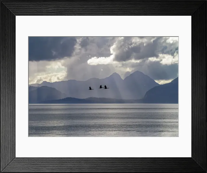Framed Print : Scenic view of Glacier Bay National Park and Preserve, UNESCO World Heritage Site, Southeast Alaska, Pacific Ocean, United States of America, North America Framed Print : Scenic view of Glacier Bay National Park and Preserve, UNESCO World Heritage Site, Southeast Alaska, Pacific Ocean, United States of America, North America