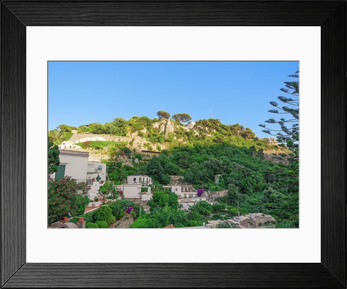 Framed Print : Hill houses surrounded by greenery above Marina Picola on Capri Island, Bay of Naples, Campania, Italy, Europe Framed Print : Hill houses surrounded by greenery above Marina Picola on Capri Island, Bay of Naples, Campania, Italy, Europe