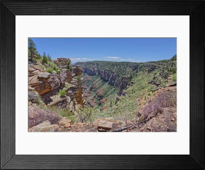 Framed Print : Cliff views south of Naji Point on the North Rim of Grand Canyon National Park, UNESCO World Heritage Site, Arizona, United States of America, North America Framed Print : Cliff views south of Naji Point on the North Rim of Grand Canyon National Park, UNESCO World Heritage Site, Arizona, United States of America, North America