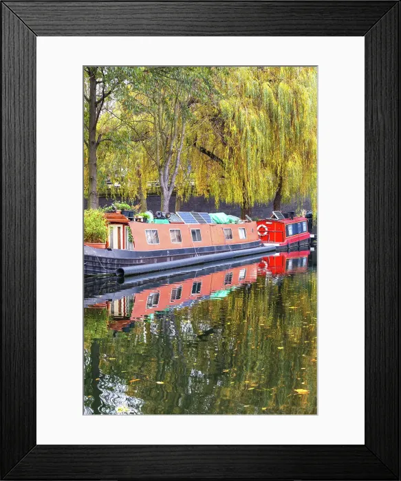 Framed Print : Narrowboats in Little Venice, London, England, United Kingdom, Europe Framed Print : Narrowboats in Little Venice, London, England, United Kingdom, Europe