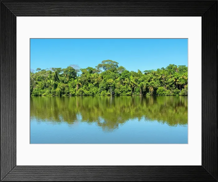 Framed Print : Lake Sandoval, Tambopata National Reserve, Puerto Maldonado, Madre de Dios, Peru, South America Framed Print : Lake Sandoval, Tambopata National Reserve, Puerto Maldonado, Madre de Dios, Peru, South America