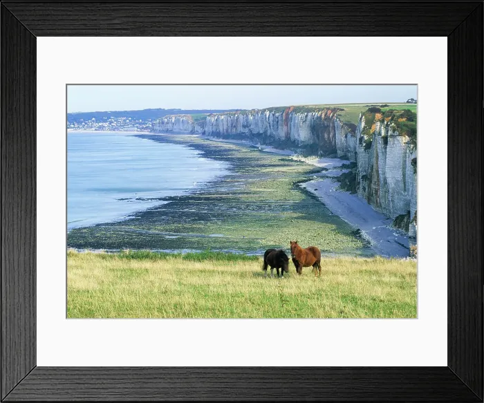 Framed Print : Horses on the top of the cliff above Yport near Etretat, Cote d'Albatre, Pays de Caux, Seine-Maritime department, Upper Normandy region, France, Europe Framed Print : Horses on the top of the cliff above Yport near Etretat, Cote d'Albatre, Pays de Caux, Seine-Maritime department, Upper Normandy region, France, Europe