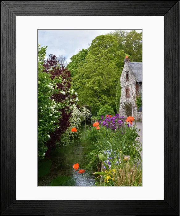 Framed Print : The Veules River bank, the smallest river in France, 1149 m, Veules-les-Roses, Seine-Maritime department, Normandy region, France Framed Print : The Veules River bank, the smallest river in France, 1149 m, Veules-les-Roses, Seine-Maritime department, Normandy region, France