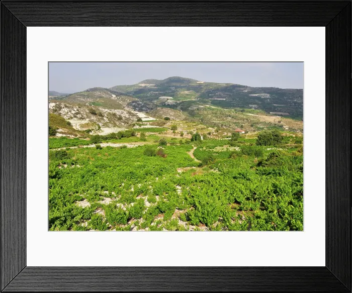 Framed Print : Vineyards around Omodos, Troodos Mountains, Cyprus, Eastern Mediterranean Sea, Europe Framed Print : Vineyards around Omodos, Troodos Mountains, Cyprus, Eastern Mediterranean Sea, Europe