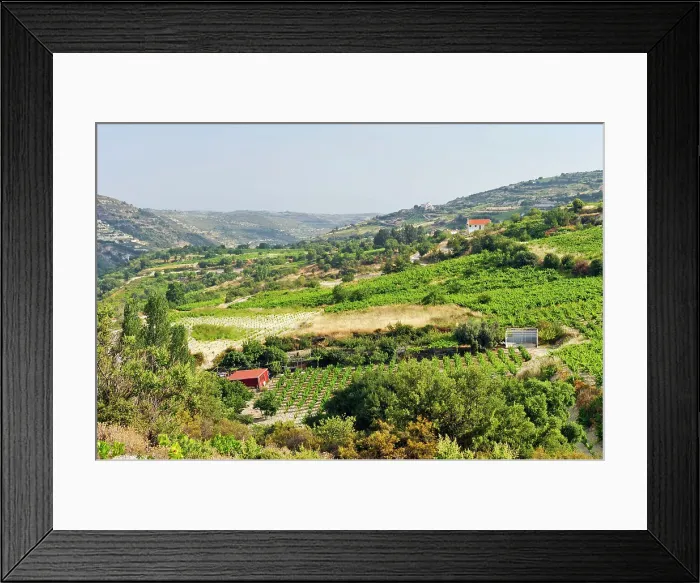Framed Print : Vineyards around Omodos, Troodos Mountains, Cyprus, Eastern Mediterranean Sea, Europe Framed Print : Vineyards around Omodos, Troodos Mountains, Cyprus, Eastern Mediterranean Sea, Europe