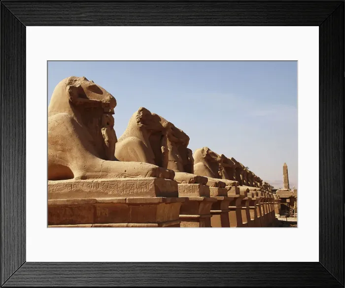 Framed Print : Avenue of Sphinxes, Luxor, Thebes, UNESCO World Heritage Site, Egypt, North Africa, Africa