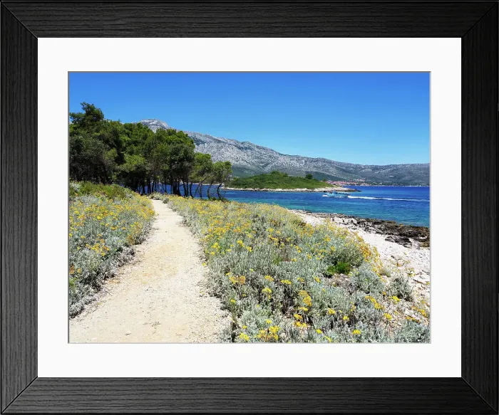 Framed Print : Footpath by the Sea on Badija, Korcula, Croatia, Europe Framed Print : Footpath by the Sea on Badija, Korcula, Croatia, Europe