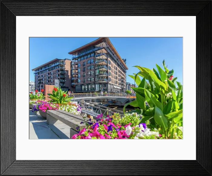 Framed Print : View of summer flowers and waterfront architecture, Aker Brygge, Oslo, Norway, Scandinavia, Europe Framed Print : View of summer flowers and waterfront architecture, Aker Brygge, Oslo, Norway, Scandinavia, Europe
