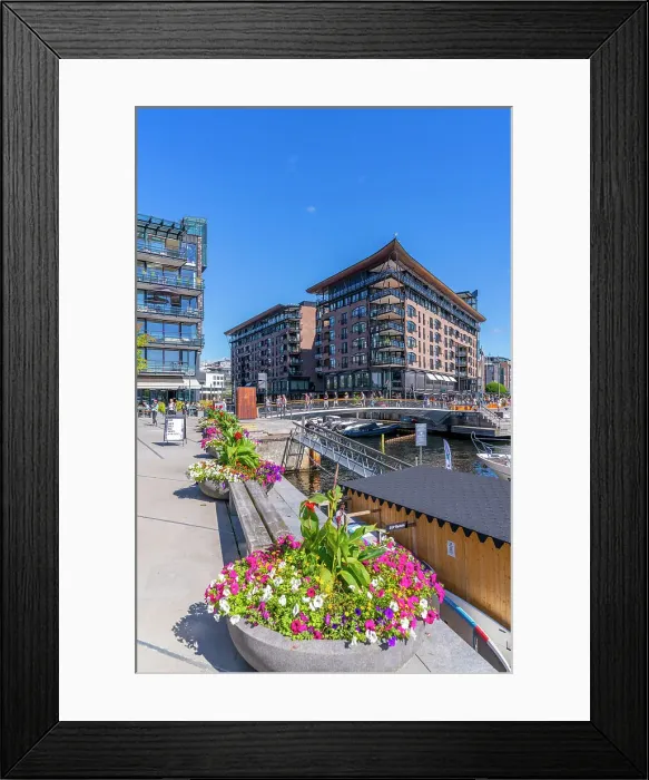 Framed Print : View of summer flowers and waterfront architecture, Aker Brygge, Oslo, Norway, Scandinavia, Europe