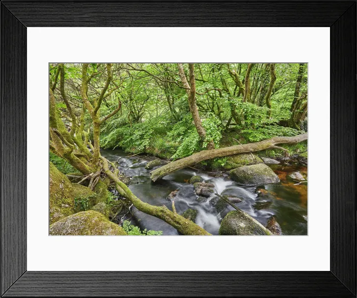 Framed Print : Summer woodland along the banks of the boulder-strewn River Dart, at Dartmeet, Dartmoor National Park, Devon, England, United Kingdom, Europe Framed Print : Summer woodland along the banks of the boulder-strewn River Dart, at Dartmeet, Dartmoor National Park, Devon, England, United Kingdom, Europe