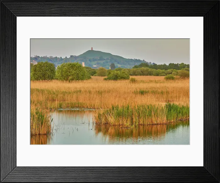 Framed Print : Glastonbury Tor seen across the marshes of Ham Wall National Nature Reserve, one of the Avalon Marshes nature reserves, near Glastonbury, Somerset, England, United Kingdom, Europe Framed Print : Glastonbury Tor seen across the marshes of Ham Wall National Nature Reserve, one of the Avalon Marshes nature reserves, near Glastonbury, Somerset, England, United Kingdom, Europe