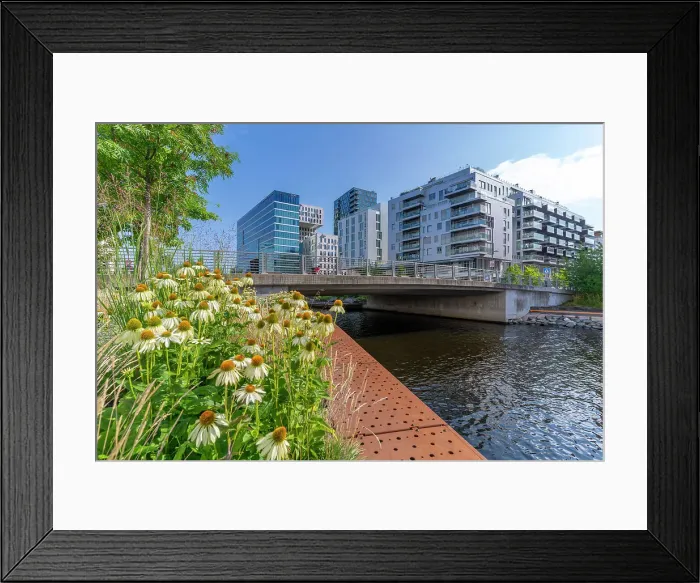 Framed Print : View of the Barcode buildings and flowers on a sunny day, Oslo, Norway, Scandinavia, Europe Framed Print : View of the Barcode buildings and flowers on a sunny day, Oslo, Norway, Scandinavia, Europe