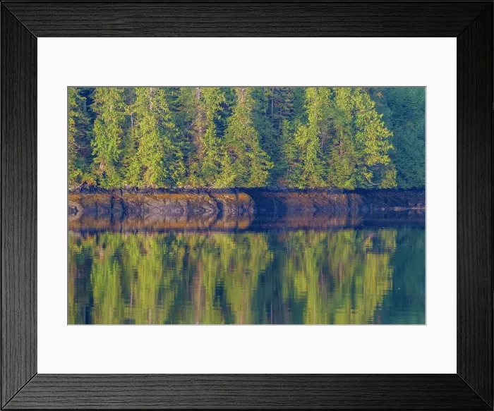 Framed Print : Reflections in the calm waters of Jackson Pass Provincial Marine Park, British Columbia, Canada, North America Framed Print : Reflections in the calm waters of Jackson Pass Provincial Marine Park, British Columbia, Canada, North America
