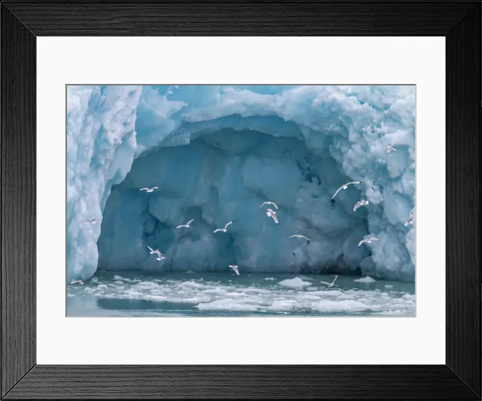 Framed Print : Views of the Monacobreen (Monaco Glacier), in Haakon VII Land on the island of Spitsbergen in Svalbard, Norway, Arctic, Europe Framed Print : Views of the Monacobreen (Monaco Glacier), in Haakon VII Land on the island of Spitsbergen in Svalbard, Norway, Arctic, Europe