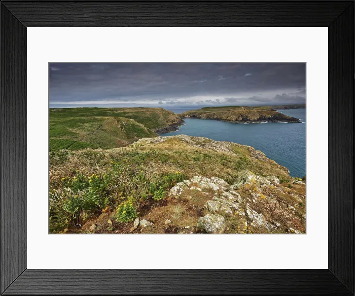 Framed Print : A view from High Cliff to the Neck, on the east coast of Skomer Island, a nature reserve off the coast of Pembrokeshire, Wales, United Kingdom, Europe Framed Print : A view from High Cliff to the Neck, on the east coast of Skomer Island, a nature reserve off the coast of Pembrokeshire, Wales, United Kingdom, Europe