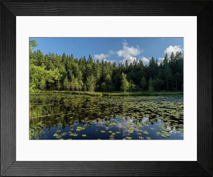 Framed Print : Lakes at Nuuksio National Park near Espoo, Finland, Europe Framed Print : Lakes at Nuuksio National Park near Espoo, Finland, Europe