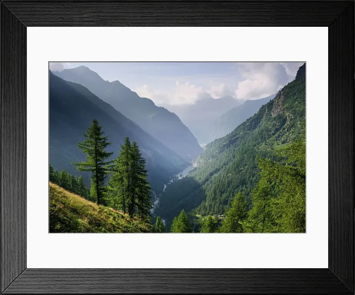 Framed Print : Alpine meadows and forest in summer in front of Monte Rosa, Nature Park Valsesia and the Alta Val Strona, Piedmont, Italian Alps, Italy, Europe Framed Print : Alpine meadows and forest in summer in front of Monte Rosa, Nature Park Valsesia and the Alta Val Strona, Piedmont, Italian Alps, Italy, Europe