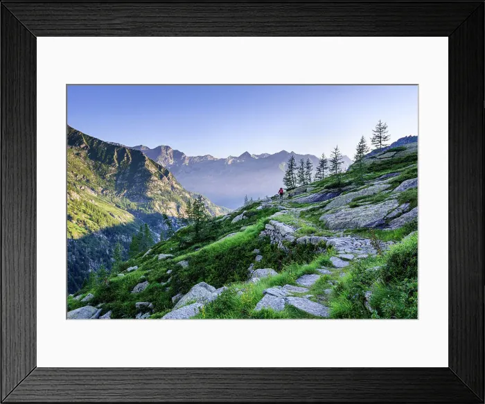 Framed Print : Beautiful idyllic hiking trail in the early morning sun light with mountain chain in the background, Monte Rosa, Piedmont, Italian Alps, Italy, Europe Framed Print : Beautiful idyllic hiking trail in the early morning sun light with mountain chain in the background, Monte Rosa, Piedmont, Italian Alps, Italy, Europe