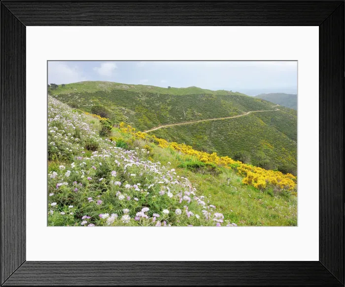 Framed Print : Hills between Colera and Llanca, Costa Brava, Catalonia, Spain, Europe Framed Print : Hills between Colera and Llanca, Costa Brava, Catalonia, Spain, Europe