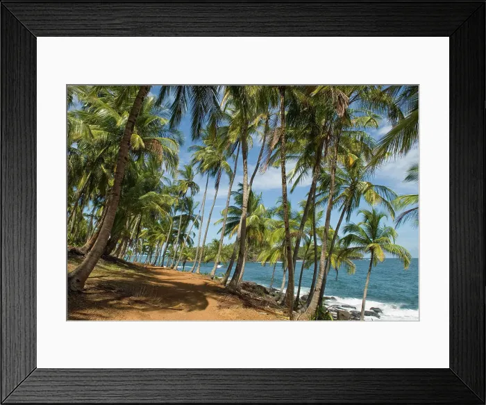 Framed Print : Chemin de la Pointe des Cayes, Ile Royale, Iles du Salut, French Guiana, Overseas department and region of France, French Guiana, South America Framed Print : Chemin de la Pointe des Cayes, Ile Royale, Iles du Salut, French Guiana, Overseas department and region of France, French Guiana, South America