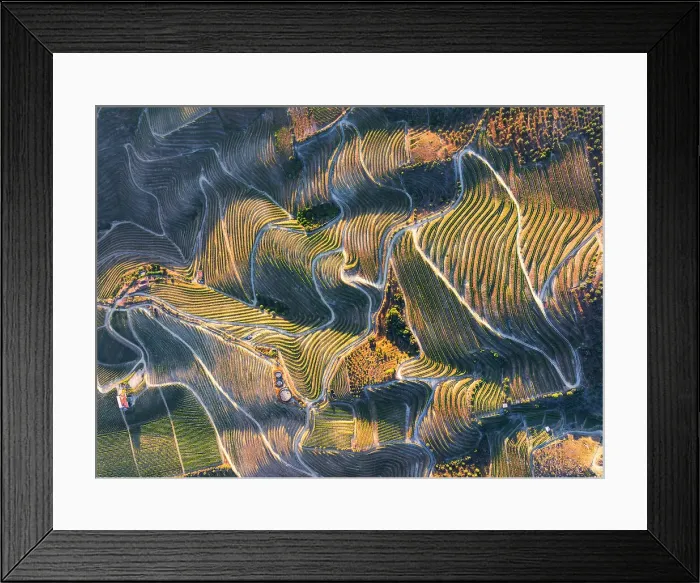 Framed Print : Aerial view of vineyards around Pinhao at sunset, Douro, Valenca do Douro, Viseu District, Portugal, Europe Framed Print : Aerial view of vineyards around Pinhao at sunset, Douro, Valenca do Douro, Viseu District, Portugal, Europe