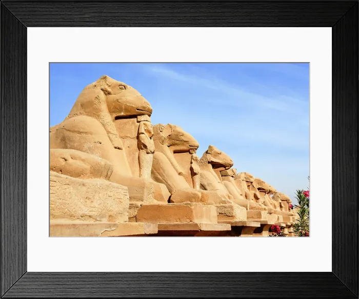 Framed Print : Ram headed sphinx along the path connecting the Karnak Temple Complex to Luxor Temple, Thebes, UNESCO World Heritage Site, Egypt, North Africa, Africa Framed Print : Ram headed sphinx along the path connecting the Karnak Temple Complex to Luxor Temple, Thebes, UNESCO World Heritage Site, Egypt, North Africa, Africa