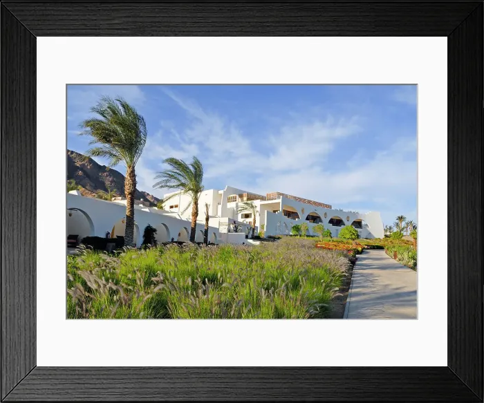 Framed Print : Garden of Hilton hotel at Dahab on the southeast coast of the Sinai Peninsula, Gulf of Aqaba, Egypt, North Africa, Africa Framed Print : Garden of Hilton hotel at Dahab on the southeast coast of the Sinai Peninsula, Gulf of Aqaba, Egypt, North Africa, Africa