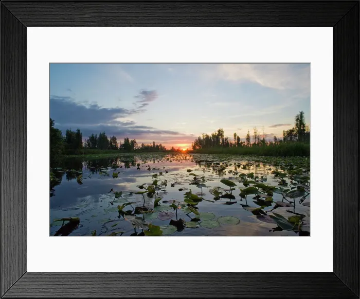 Framed Print : Sun rising over the Zapata swamplands, Matanzas Province, Cuba, West Indies, Caribbean, Central America Framed Print : Sun rising over the Zapata swamplands, Matanzas Province, Cuba, West Indies, Caribbean, Central America