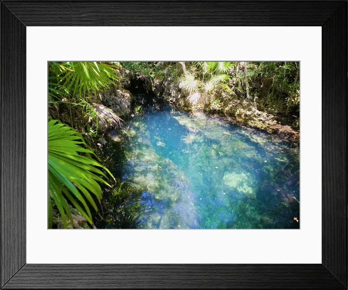 Framed Print : Looking down into the Los Peces fresh water cave near Playa Giron, Matanzas Province, Cuba, West Indies, Caribbean, Central America Framed Print : Looking down into the Los Peces fresh water cave near Playa Giron, Matanzas Province, Cuba, West Indies, Caribbean, Central America