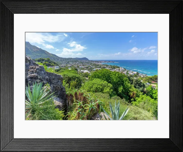 Framed Print : View of tropical flora in Giardini la Mortella Botanical Gardens and Forio in background, Forio, Island of Ischia, Campania, Italy, Europe Framed Print : View of tropical flora in Giardini la Mortella Botanical Gardens and Forio in background, Forio, Island of Ischia, Campania, Italy, Europe