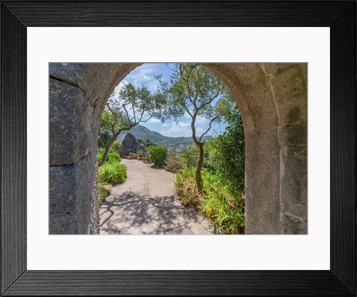 Framed Print : View of arch and tropical flora in Giardini la Mortella Botanical Garden, Forio, Island of Ischia, Campania, Italy, Europe Framed Print : View of arch and tropical flora in Giardini la Mortella Botanical Garden, Forio, Island of Ischia, Campania, Italy, Europe