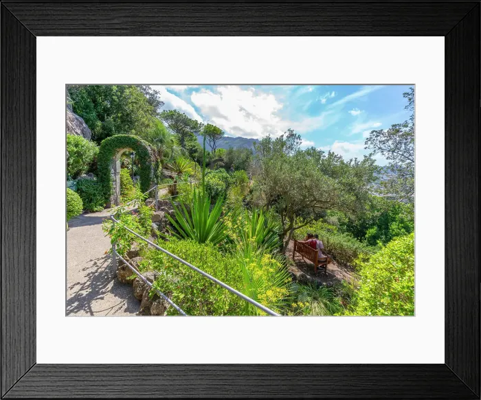 Framed Print : View of tropical flora in Giardini la Mortella Botanical Garden, Forio, Island of Ischia, Campania, Italy, Europe Framed Print : View of tropical flora in Giardini la Mortella Botanical Garden, Forio, Island of Ischia, Campania, Italy, Europe