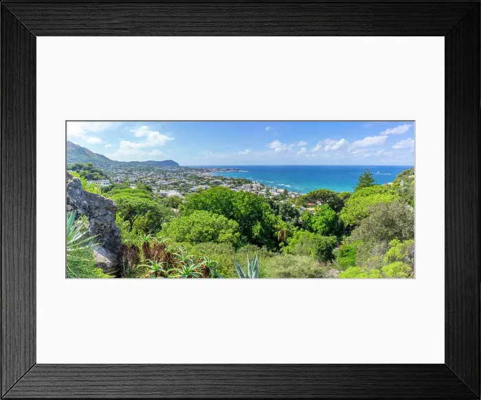 Framed Print : View of tropical flora in Giardini la Mortella Botanical Gardens and Forio in background, Forio, Island of Ischia, Campania, Italy, Europe Framed Print : View of tropical flora in Giardini la Mortella Botanical Gardens and Forio in background, Forio, Island of Ischia, Campania, Italy, Europe