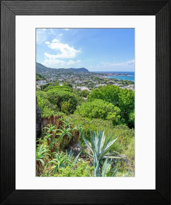 Framed Print : View of tropical flora in Giardini la Mortella Botanical Gardens and Forio in background, Forio, Island of Ischia, Campania, Italy, Europe Framed Print : View of tropical flora in Giardini la Mortella Botanical Gardens and Forio in background, Forio, Island of Ischia, Campania, Italy, Europe