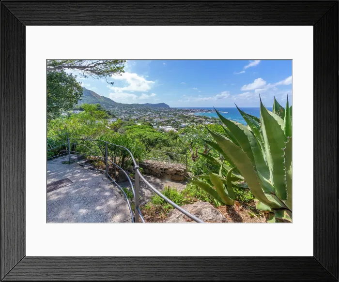 Framed Print : View of tropical flora in Giardini la Mortella Botanical Gardens and Forio in background, Forio, Island of Ischia, Campania, Italy, Europe