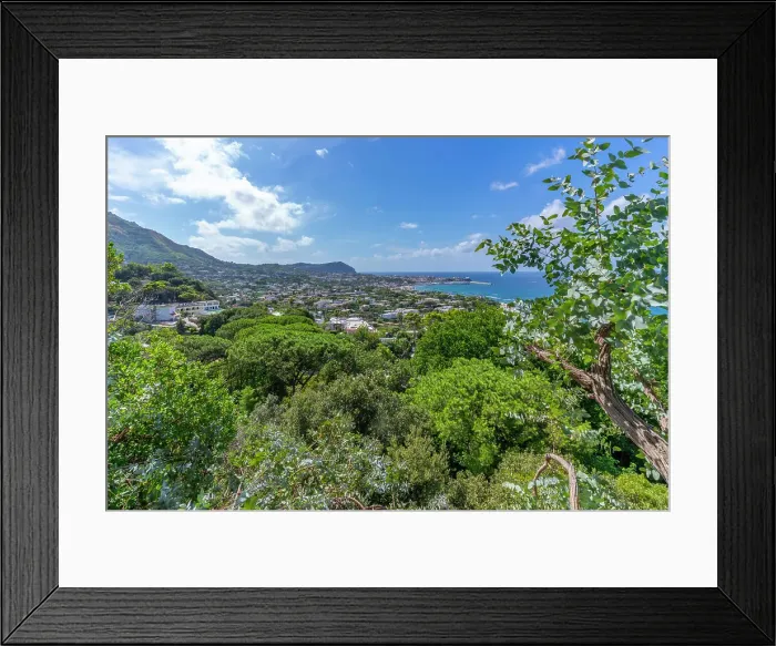 Framed Print : View of tropical flora in Giardini la Mortella Botanical Gardens and Forio in background, Forio, Island of Ischia, Campania, Italy, Europe Framed Print : View of tropical flora in Giardini la Mortella Botanical Gardens and Forio in background, Forio, Island of Ischia, Campania, Italy, Europe